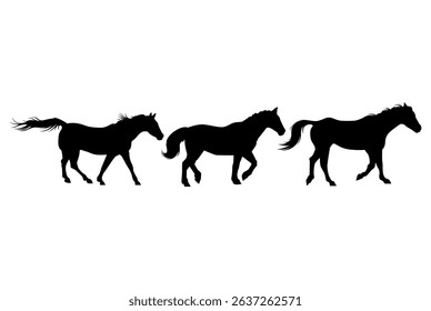 horse silhouettes on white background