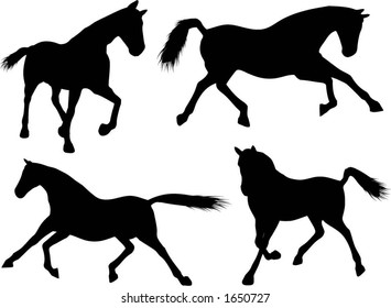 Horse silhouettes - vector