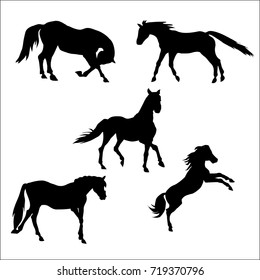 horse silhouettes vector