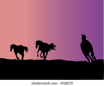 Horse silhouettes - vector illustration