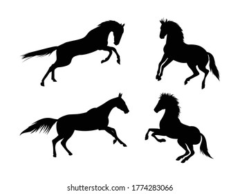 horse silhoutte set vector illustration. 