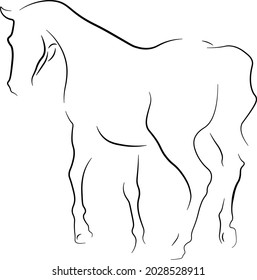 horse siloulette vector line ilustration