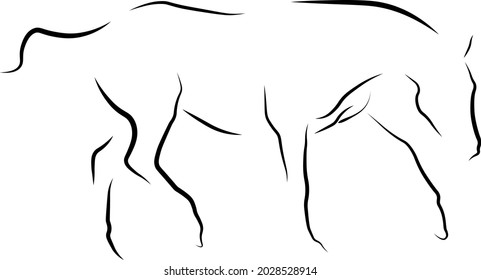 horse siloulette vector line ilustration