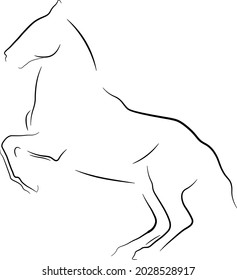 horse siloulette vector line ilustration