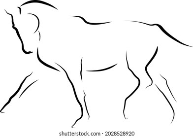 horse siloulette vector line ilustration