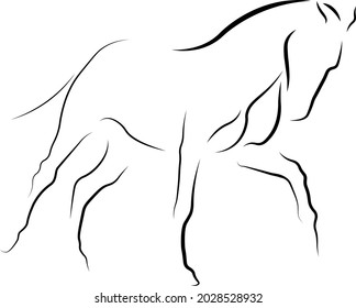 ilustración de la línea vectorial de la silouletta de caballo