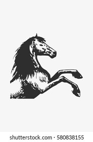 Horse sketch icon, Vector