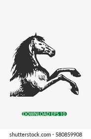 Horse sketch icon, Vector