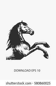 Horse sketch icon, Vector