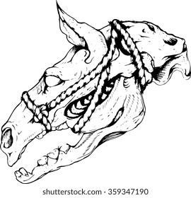 Horse skull