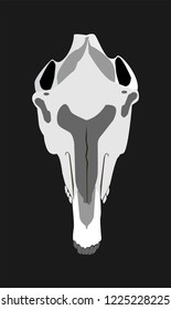 Horse skull head, abstract background illustration 