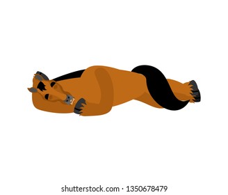 Horse sleeping. Steed asleep emotions. hoss dormant. Vector illustration