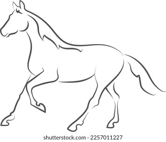 The horse is a slender, graceful animal, with highly developed muscles and a strong constitution. Black outline, symbols, logo