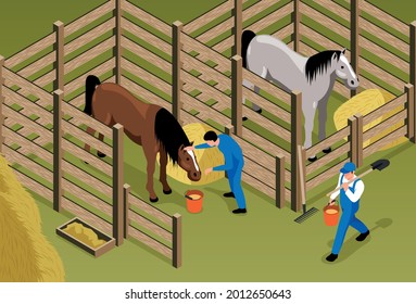 Horse stable isometric background with horses in stall and workers in uniform  caring and nursing for animals vector illustration