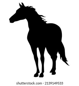 Horse, stallion, domestic and wild animal, mammal, design, vector, illustration in black color, isolated on white background