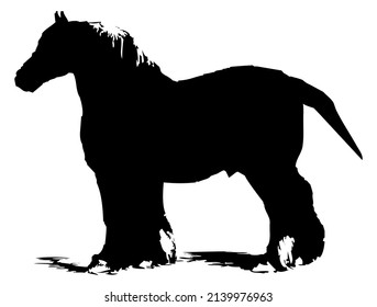 Horse, stallion, domestic and wild animal, mammal, design, vector, illustration in black color, isolated on white background