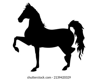 Horse, stallion galloping, domestic and wild animal, mammal, vector, illustration in black color, isolated on white background