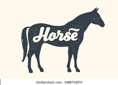 Horse, stallion, lettering. Design of farm animals - Horse side view profile. Isolated black silhouette horse or stallion with text lettering on white background. Vector Illustration