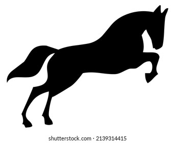 Horse, stallion raised on its rear legs, domestic and wild animal, mammal, vector, illustration in black color, isolated on white background