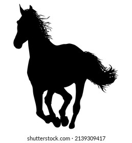 Horse, stallion running, domestic and wild animal, mammal, vector, illustration in black color, isolated on white background