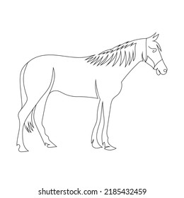 1,225 Donkey line drawing Images, Stock Photos & Vectors | Shutterstock