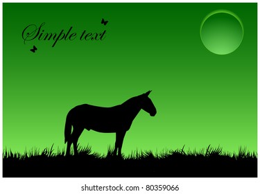 A horse standing in a meadow with grass in the night sky and moon