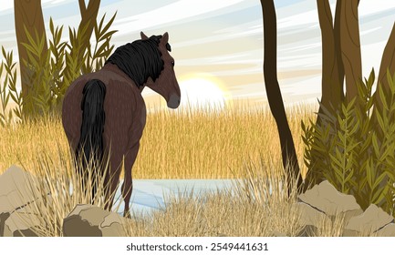 Horse standing on the bank of a small river in an autumn field. Realistic vector landscape