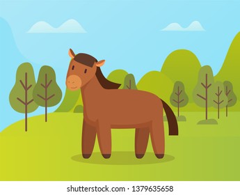 Horse standing on grass neat trees, wildlife and landscape, cloudy sky. Portrait view of brown animal with mane and tail in park or forest, nature vector