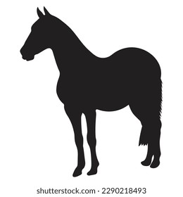 The horse standing on white background. ‍Silhouettes illustration side view.
