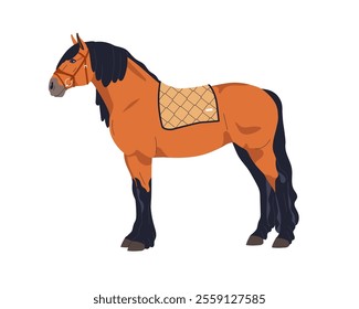 Horse standing in profile. Elegant thoroughbred stallion with bridle and saddle pad. Equine animal in side view stance, protection shabrack. Flat vector illustration isolated on white background