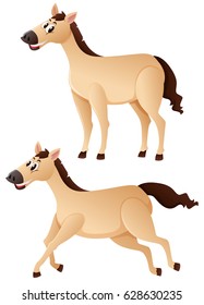 Horse in standing and running positions illustration