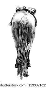 horse standing with saddle back view on ass and little head and ears sticking out and lifted one leg, sketch vector graphics monochrome illustration on white background