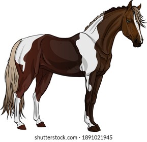 The horse is standing upright. Realistic color