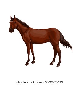 A horse stands, fawn, vector illustration