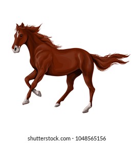 A horse stands, fawn, vector illustration