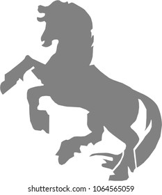 Horse stands on its hind legs