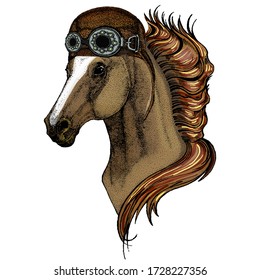 Horse, steed, courser. Portrait of wild animal. Aviator flying leather helmet with googles.