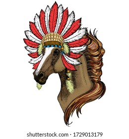 Horse, steed, courser. Portrait of wild animal. Indian headdress with feathers. Boho style.