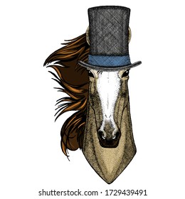 Horse, steed, courser. Portrait of wild animal. Cylinder hat.