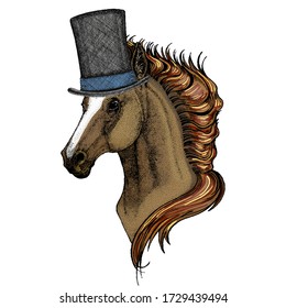 Horse, steed, courser. Portrait of wild animal. Cylinder hat.