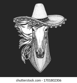 Horse, steed, courser. Sombrero is traditional mexican hat. Mexico. Portrait of wild animal.