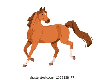 Horse, strong wild stallion, equine animal in action, motion. Racehorse walking, running, going, moving. Beautiful steed with mane and tail. Flat vector illustration isolated on white background