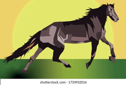 horse in the stunning sunset