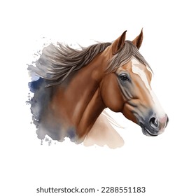 horse with style hand drawn digital painting illustration