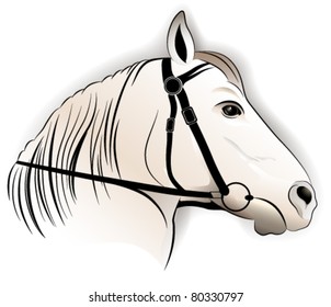 Horse, tattoo