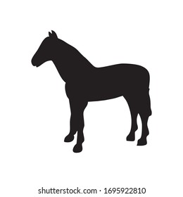 a horse that is dashing ready to run braid

