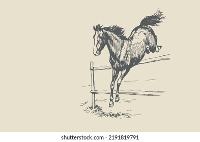 Horse That Jumps Over Wooden Fence Stock Vector (Royalty Free ...