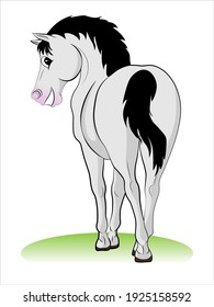 A horse that laughs. Cartoon horse. Vector illustration for web design, websites, backgrounds, print.