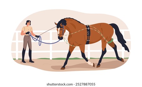 Entrenamiento de caballos. Bereitor educando equino en paddock, guiando al semental con arnés. Entrenador ecuestre de Profesional, semental que realiza el comando. Ilustración vectorial plana aislada sobre fondo blanco