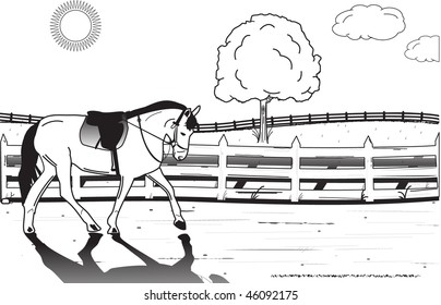 A Horse trotting down the road.